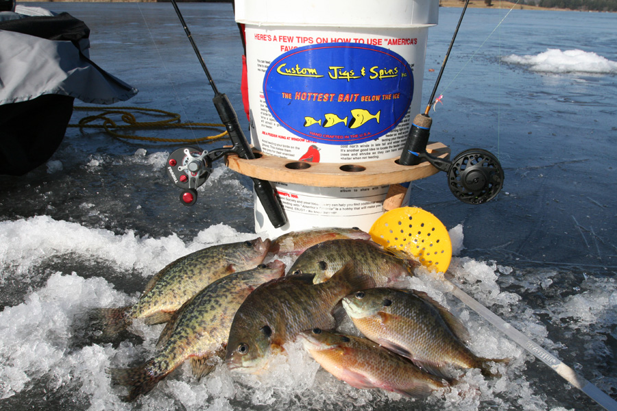 Sometimes bluegill feed like piranha's