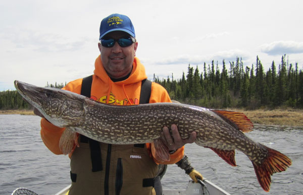 Bob holding a HUGE pike he caught after dragging jig