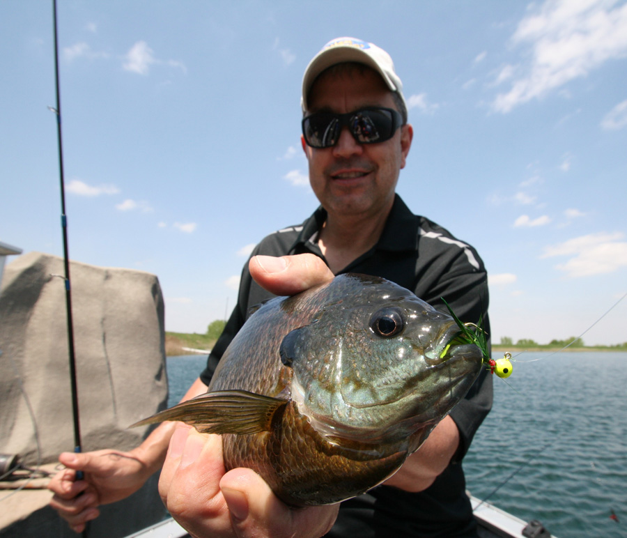 Bluegill Bob catching...bluegill!