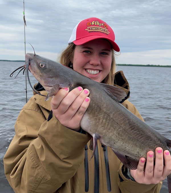 Nice cats caught off a dock