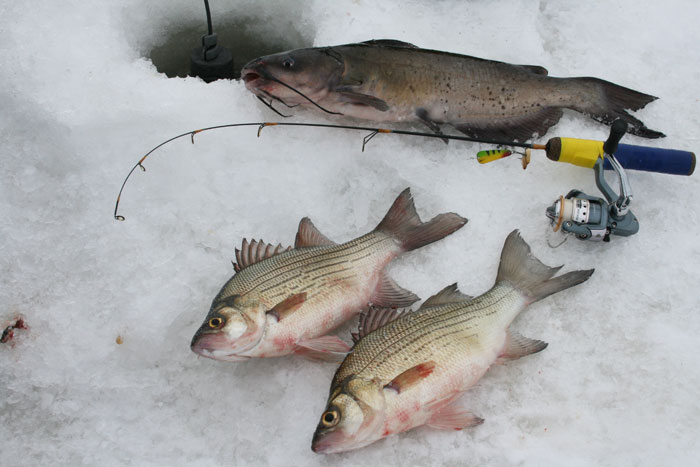 Getting Fired Up About Slender Spoons - Custom Jigs & Spins