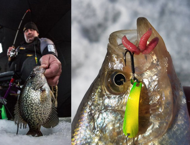 more crappie on the Slender Spoon, one with red worms