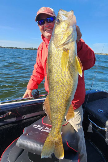 HUGE walleye caught by one of our guides.