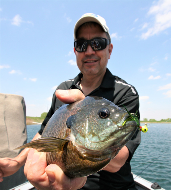 Bluegill, Bass, Crappie, and Catfish are on the Prowl Right Now! - Custom  Jigs & Spins