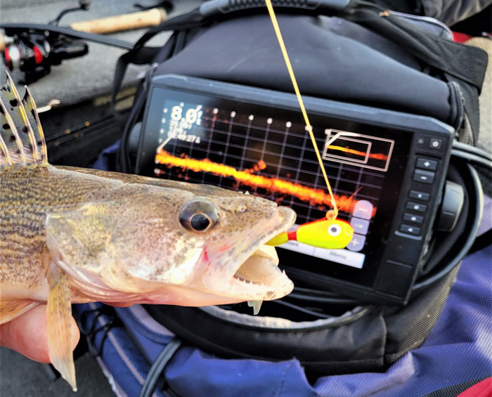 My ultralight tackle box for panfish. I've caught quite a few with