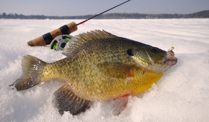 Tungsten and Titanium for High Tech Ice Fishing - Custom Jigs & Spins