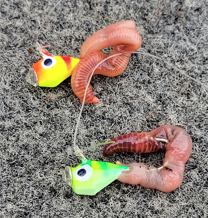 Shop — Junk Fishing Lures