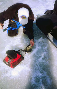 clear water fishing for bluegill