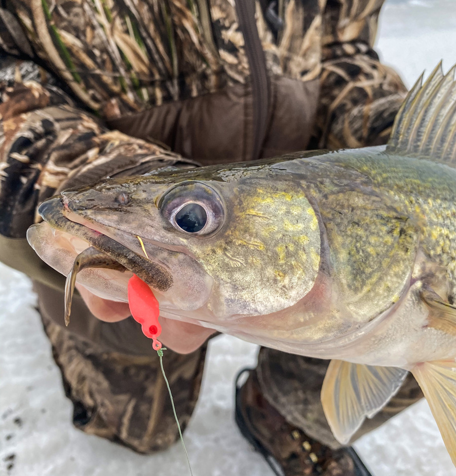 The Best Ice Fishing Jig Ever? - Custom Jigs & Spins