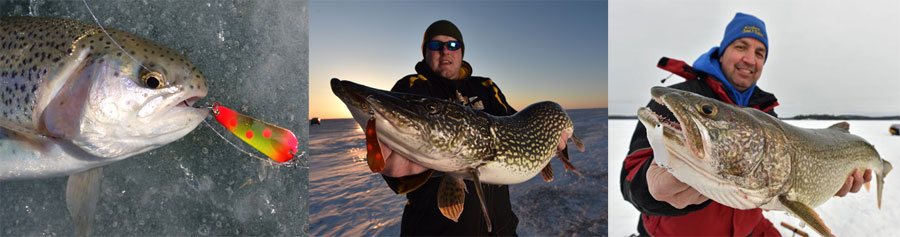 3 large pike caught on Slender Spoons