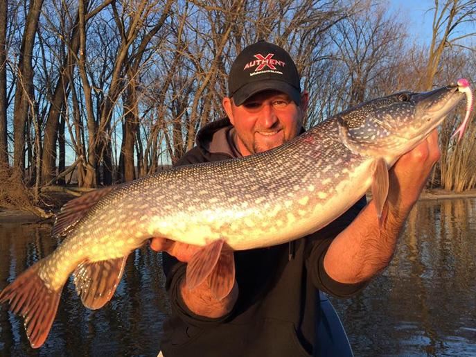 BFT Pro Ryan T. King knows that pike love the Ribb-Finn, too!