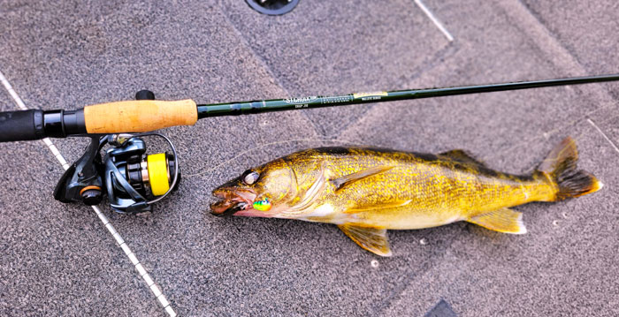Snap jig rod shown with fish