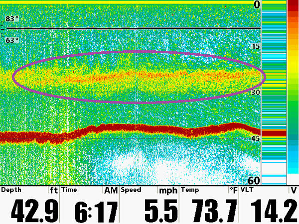 Here is a shot of how the thermocline appears on your locator