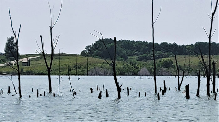 underwater trees are major fishing hazards when jig fishing