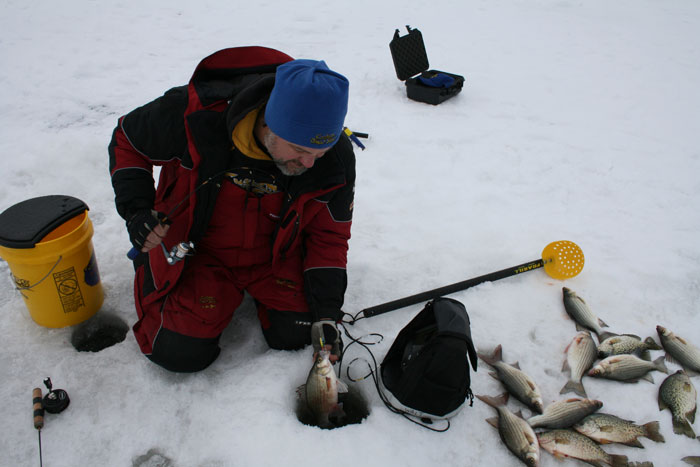 Walt catching lots of bass under the ice.